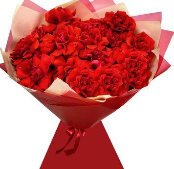 15 червоних французьких троянд 1301-15redroseFr фото