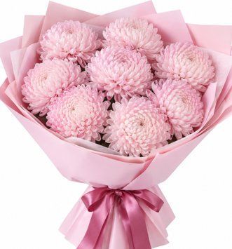 9 pink single-headed chrysanthemums