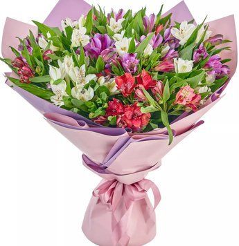 25 альстромерій 1156-25alstromeriya фото