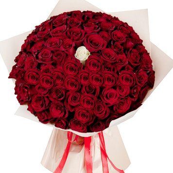 100 червоних і 1 біла троянда 1107-1white100redrose фото