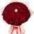 100 red and 1 white rose