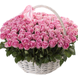 101 pink roses in a basket