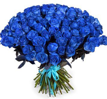 101 синя троянда 1111-bluerose фото