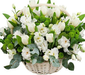 Композиція з білих тюльпанів та еустом в кошику 1312-rosetylpan фото