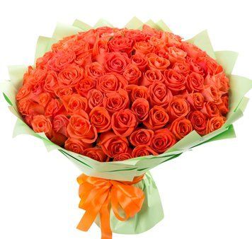 101 помаранчева троянда 1114-orangerose фото