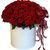 101 red roses in a box