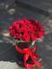 25 червоних троянд в коробці 1167-25redroseinbox фото 2
