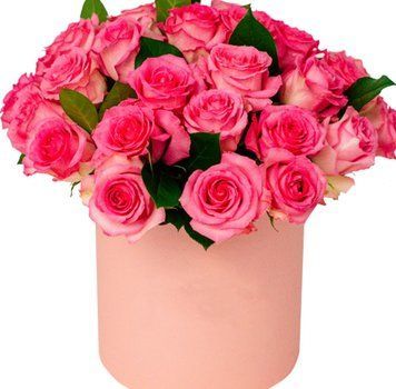 25 рожевих троянд в коробці 1168-25pinkroseinbox фото
