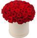 51 червона троянда в коробці 1142-51redroseinbox фото