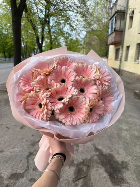 19 pink gerberas
