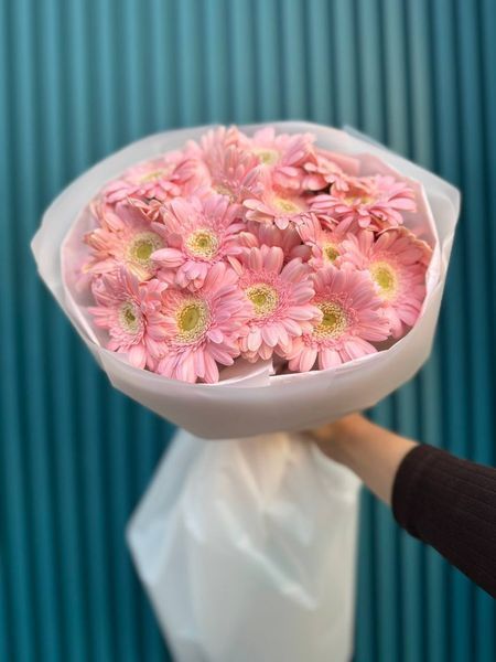 19 pink gerberas