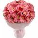 19 pink gerberas