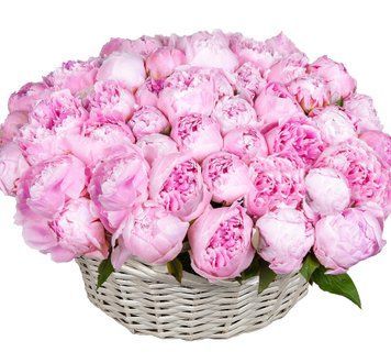 51 рожевий піон в кошику 1176-51pinkpioninbasket фото