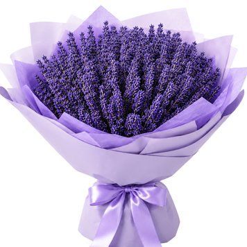 Букет з лаванди 1412-lavanda фото