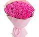51 pink roses