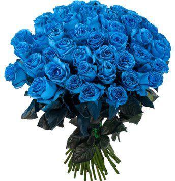 51 синя троянда 1136-51bluerose фото