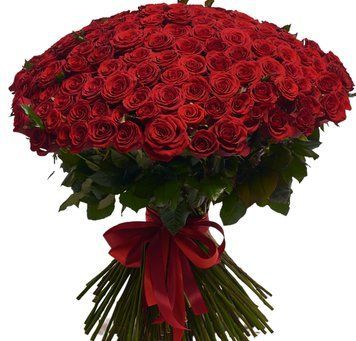 201 червона троянда 1390-201redrose фото