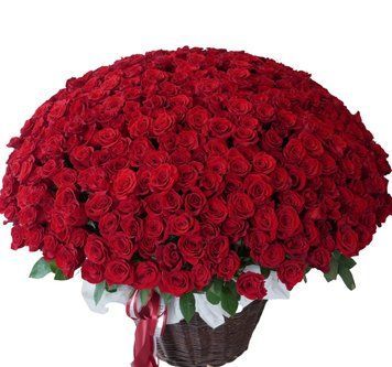 301 червона троянда в кошику 1391-301redrose фото