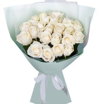 21 біла троянда 1198-21whiterose фото